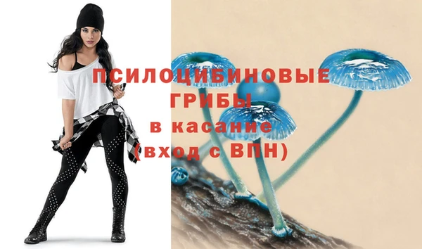 mix Бородино