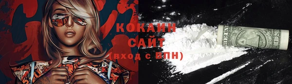 ECSTASY Богородицк