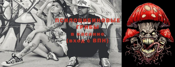 ECSTASY Богородицк