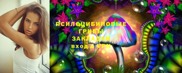 дурь Богородск