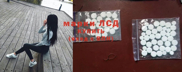 mix Бородино