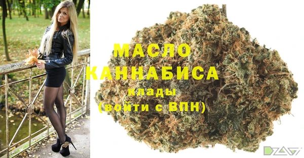 mix Бородино