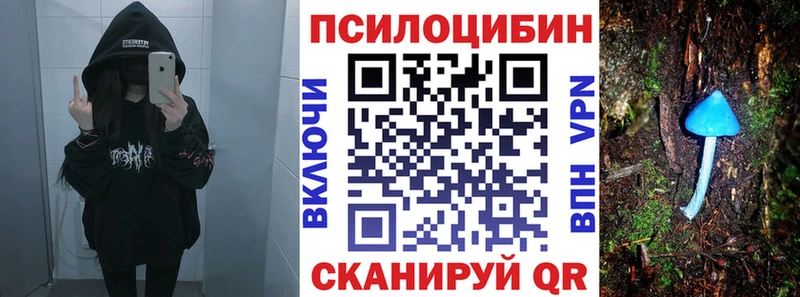 Галлюциногенные грибы Magic Shrooms Купить где Кузнецк